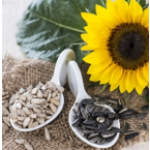 SUNFLOWER SEEDS